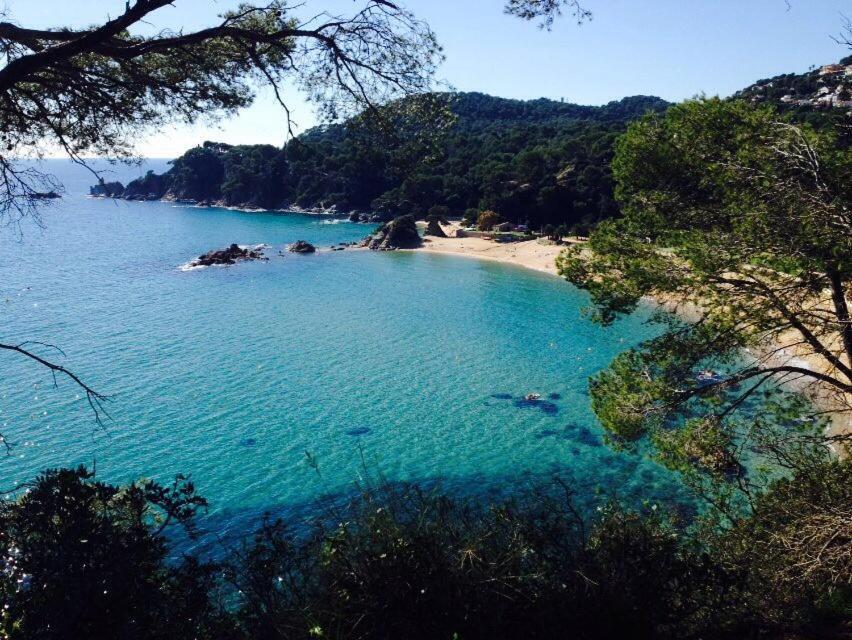 Appartements Les Pesquiers 2 Hyeres Plage Dış mekan fotoğraf